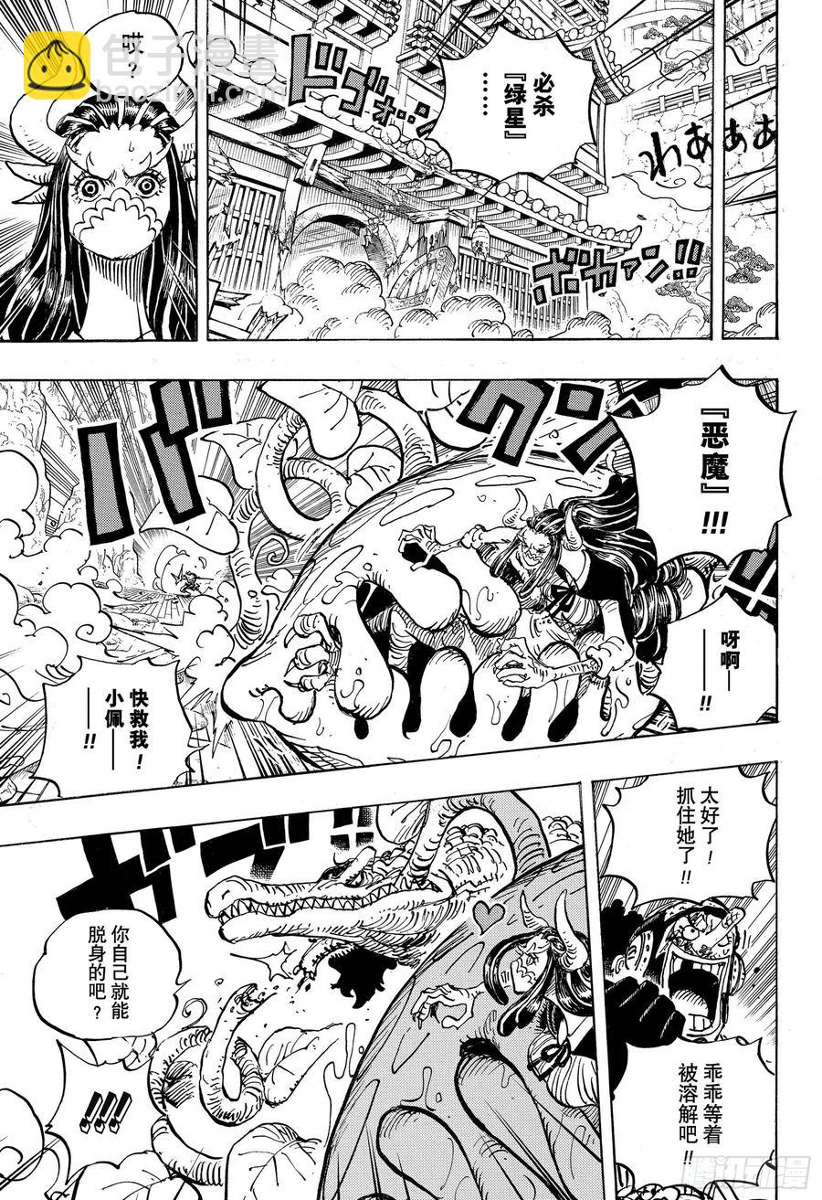 🍹航海王 第995话 女忍者的誓言 第13页