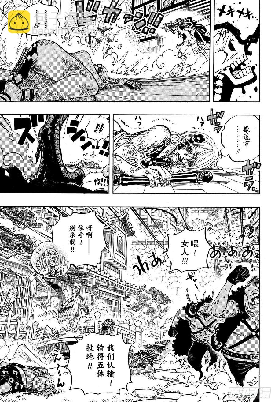 🍹航海王 第995话 女忍者的誓言 第15页