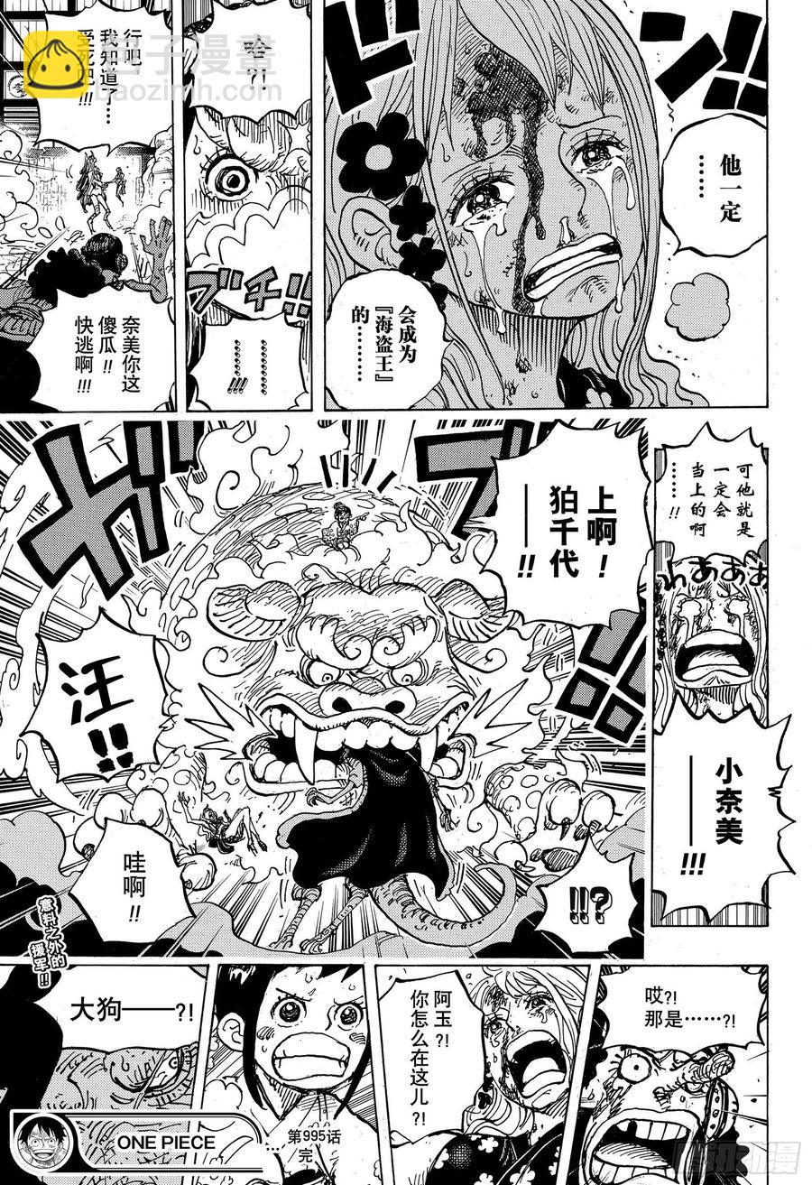 🍹航海王 第995话 女忍者的誓言 第17页