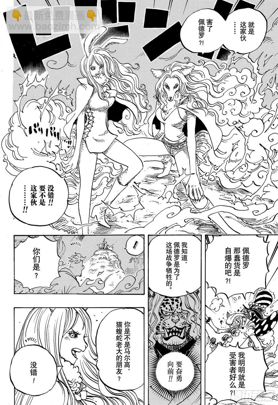 🍹航海王 第995话 女忍者的誓言 第6页