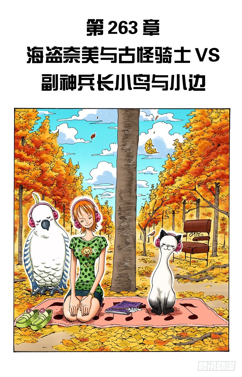 海盗娜美与古怪骑士VS副神兵长小鸟与小边-第263话