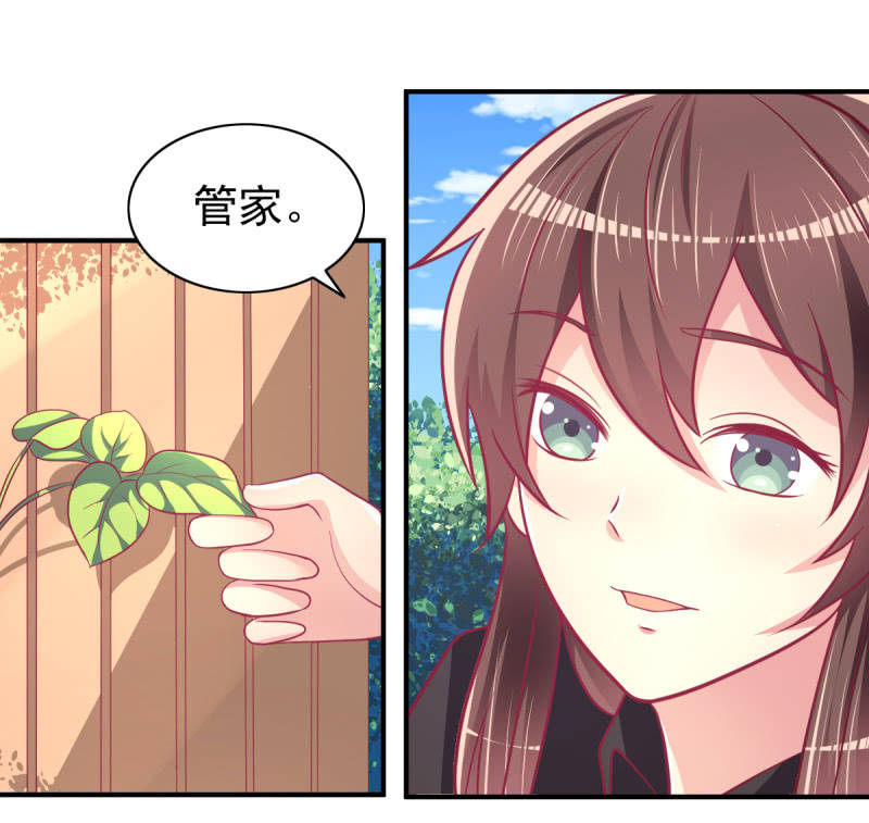 63.喜欢吃榴莲的总裁(1/2)-第65话