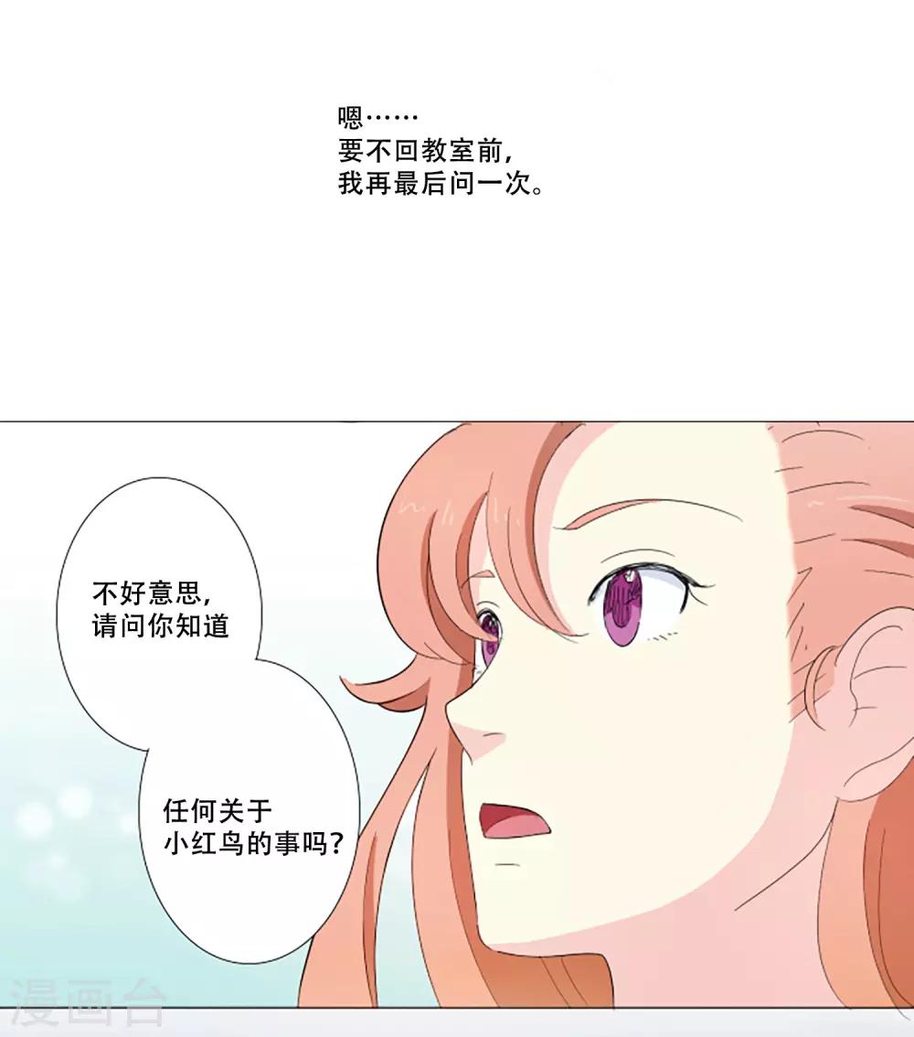 第3话 谁是小红鸟？！-第3话
