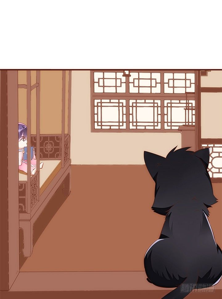 38话 嘿，有只小黑猫！(1/2)-第39话