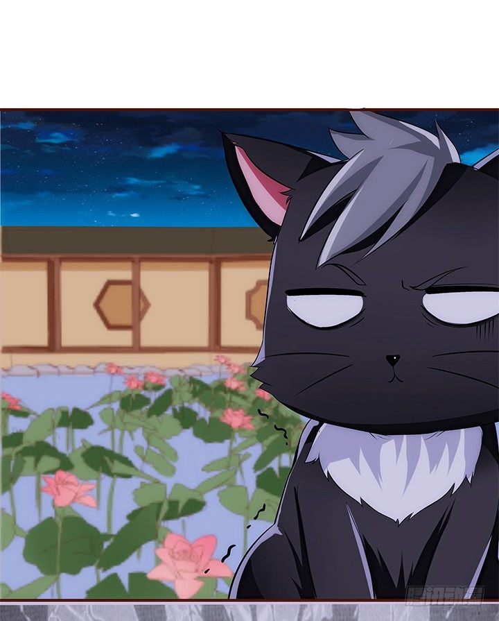 38话 嘿，有只小黑猫！(1/2)-第39话