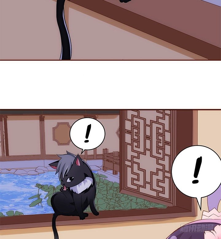 38话 嘿，有只小黑猫！(1/2)-第39话
