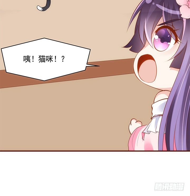 38话 嘿，有只小黑猫！(1/2)-第39话