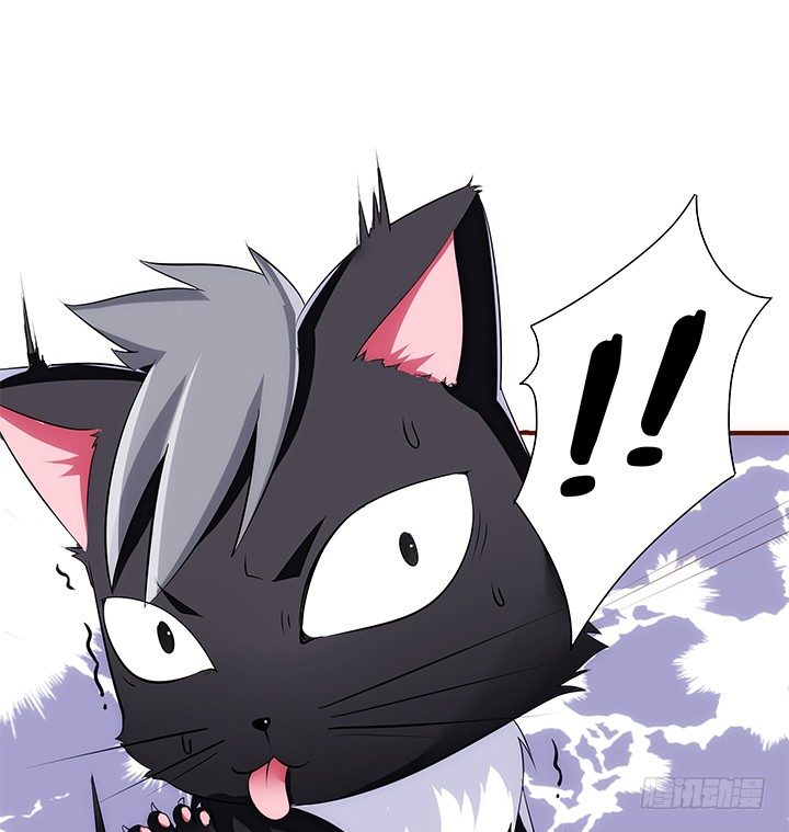 38话 嘿，有只小黑猫！(1/2)-第39话