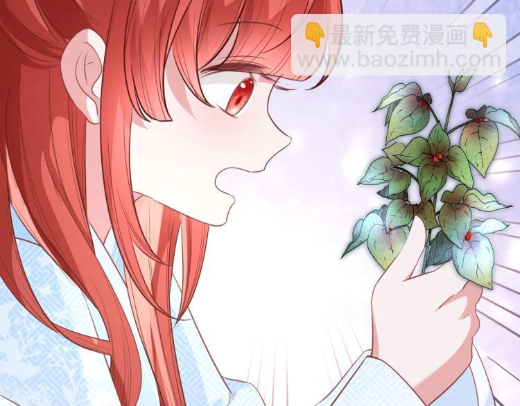 第19话 蠢兔子竟是天才？！(1/3)-第21话