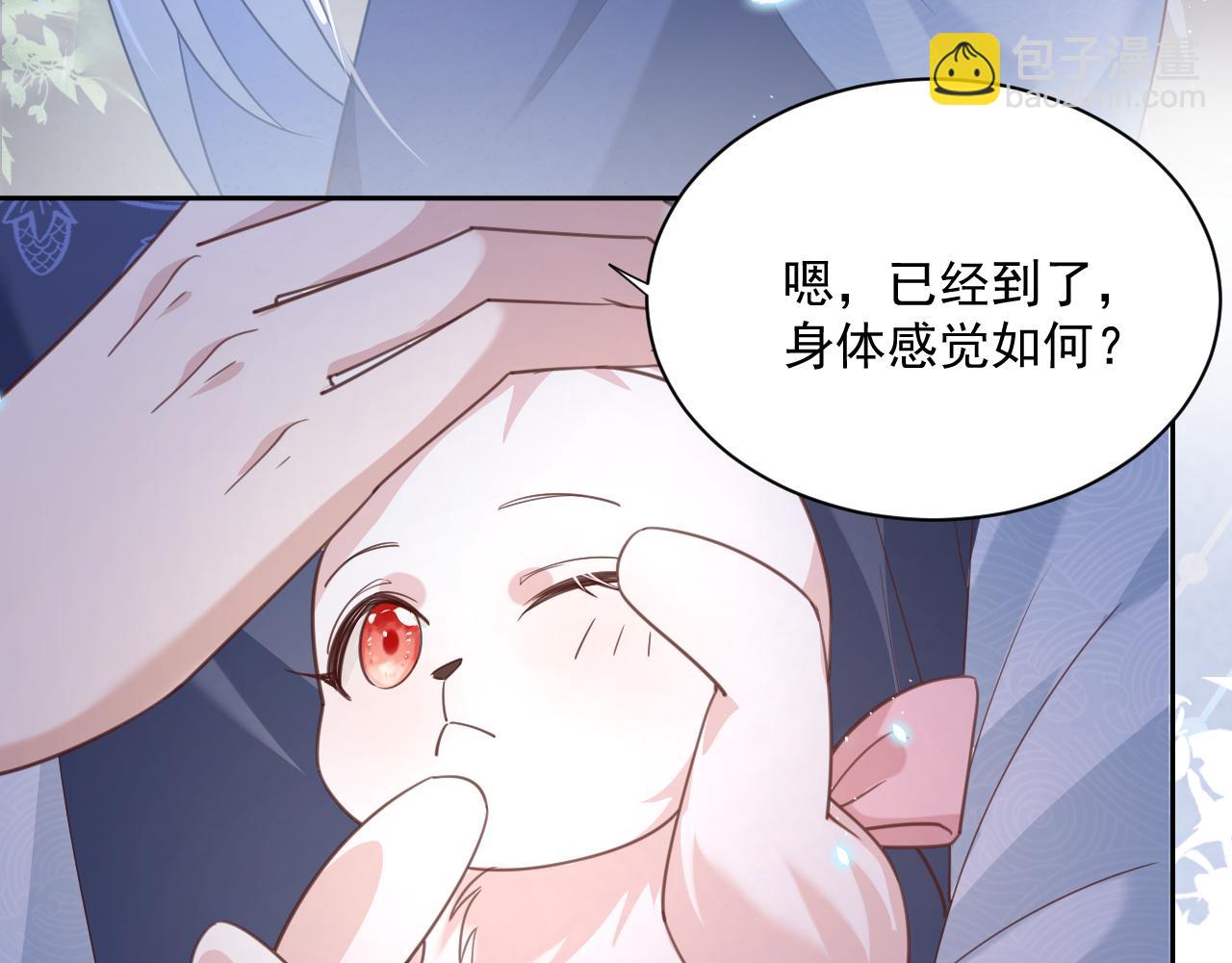第69话 兔子，跟我回家(1/2)-第71话