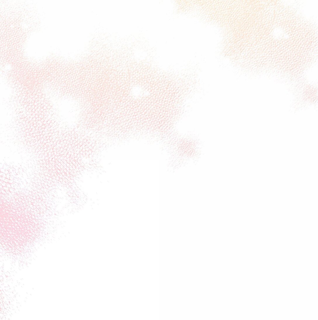 63 传家宝(1/2)-第63话