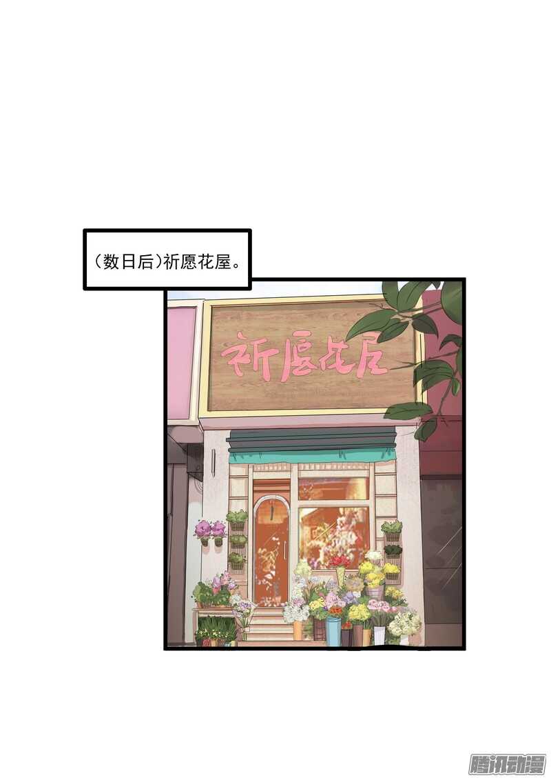 第十三话：介绍-第15话