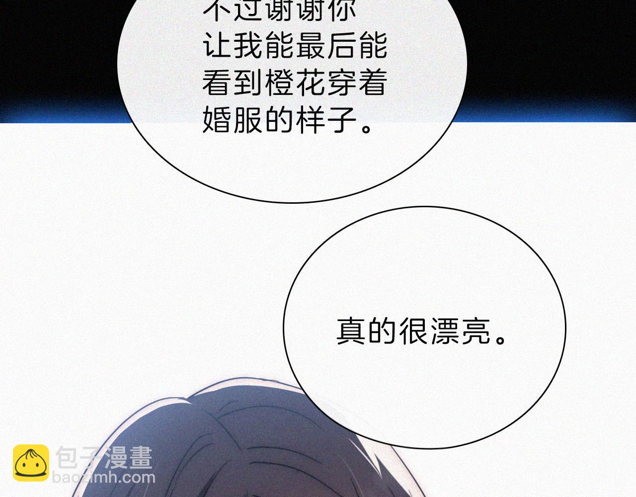 第196夜 消散的思念(1/2)-第223话