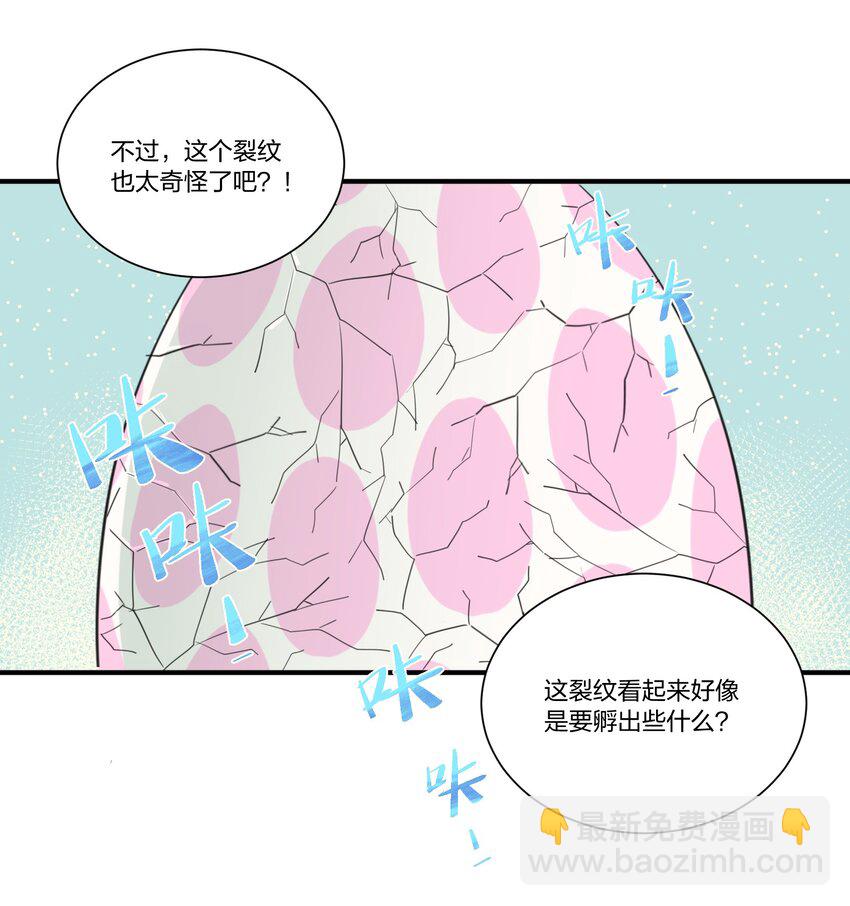 001 遭遇野生精灵，竟然是个？！-第3话