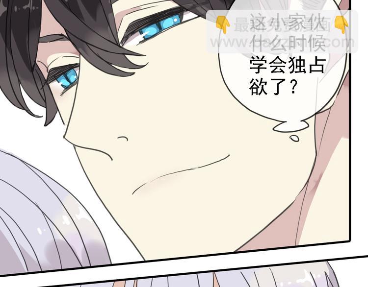 一周年福利番外(1/2)-第63话