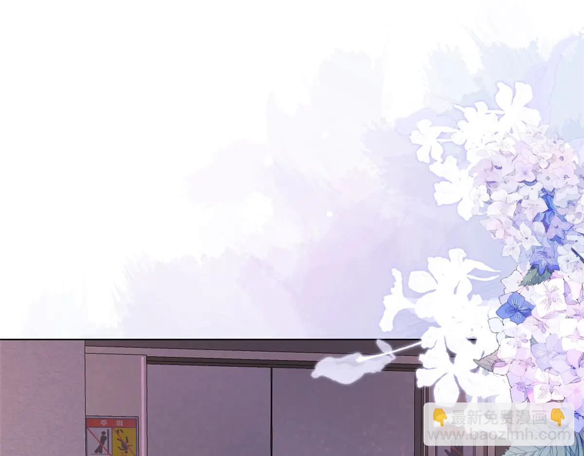 第40话 自恋狂的求救(1/4)-第41话