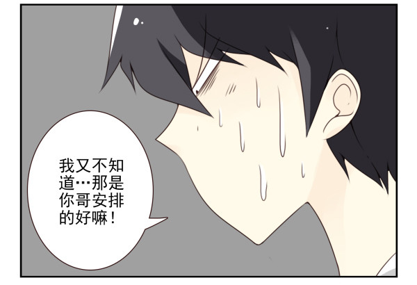 第三季78-80：直接来！-第117话