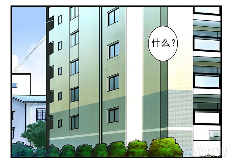 第五季27-28：结婚证？-第213话