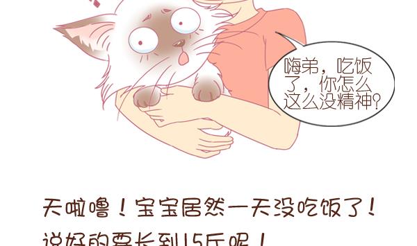 第1话 生病的嗨弟 1-第1话