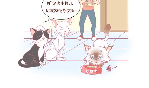 第1话 生病的嗨弟 1-第1话