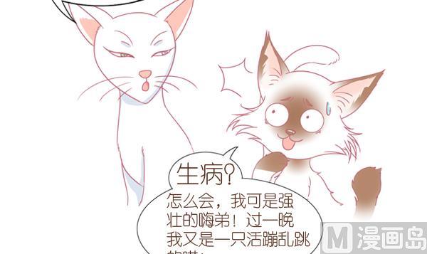 第1话 生病的嗨弟 1-第1话