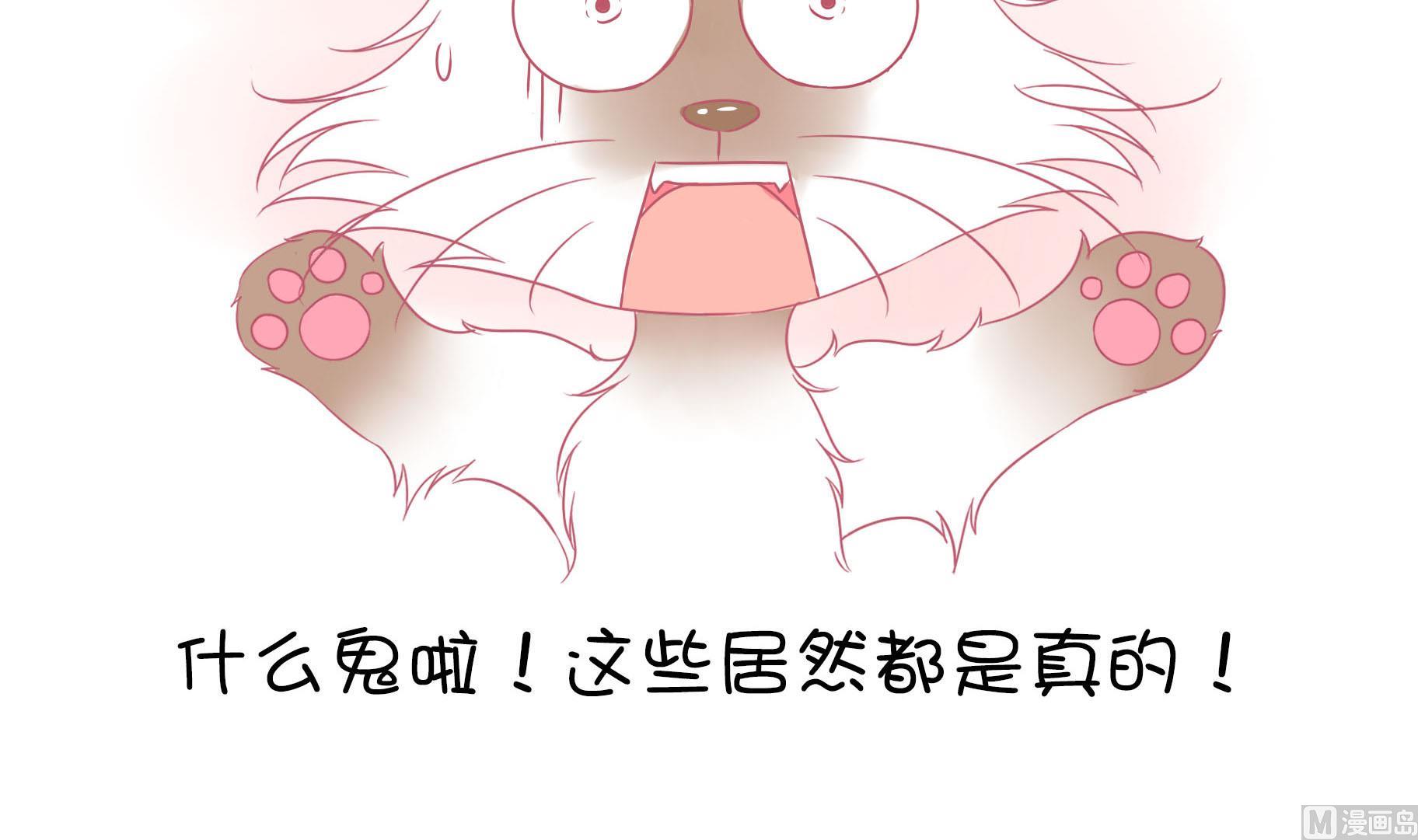 第11话 梦中还是现实-第11话