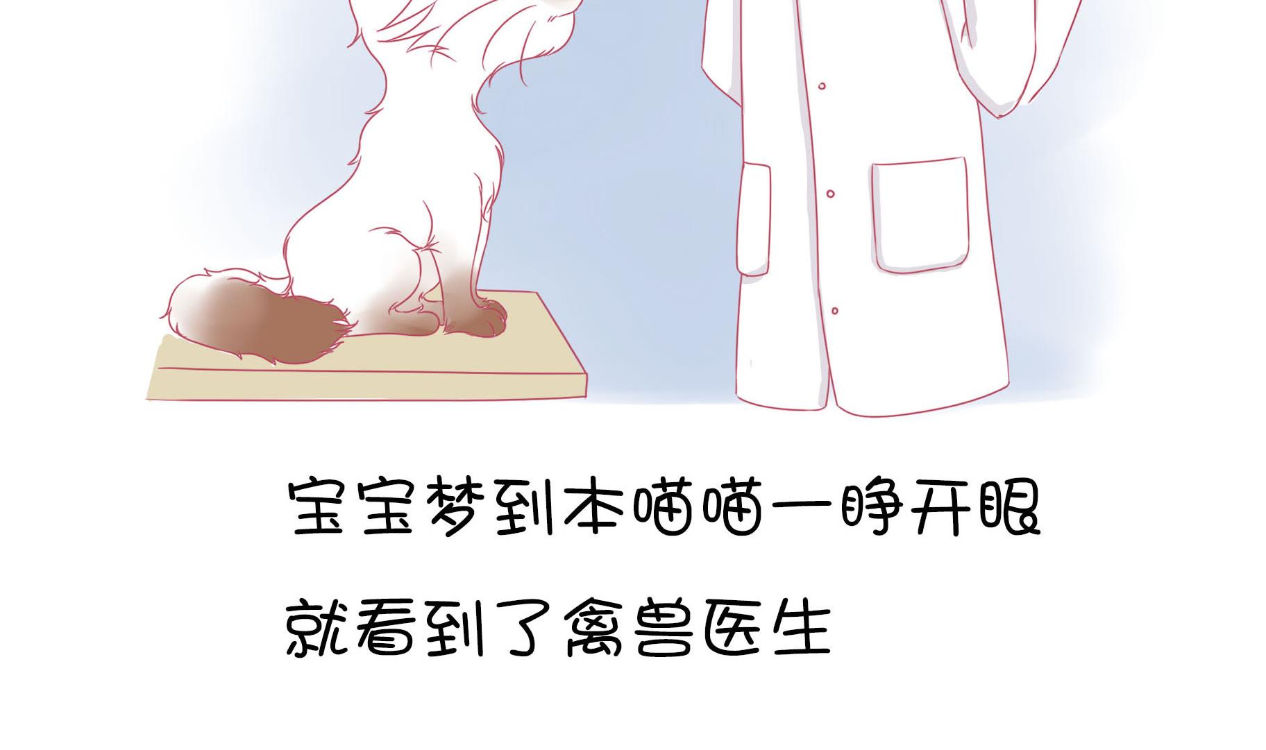 第11话 梦中还是现实-第11话