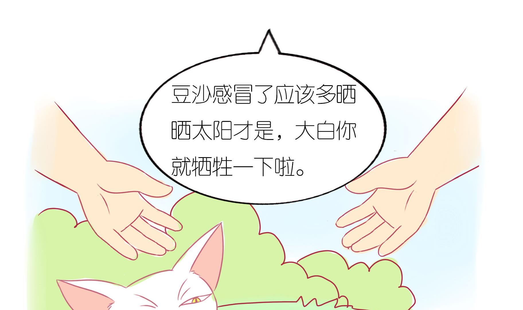 第17话 新伙伴豆沙 2-第17话