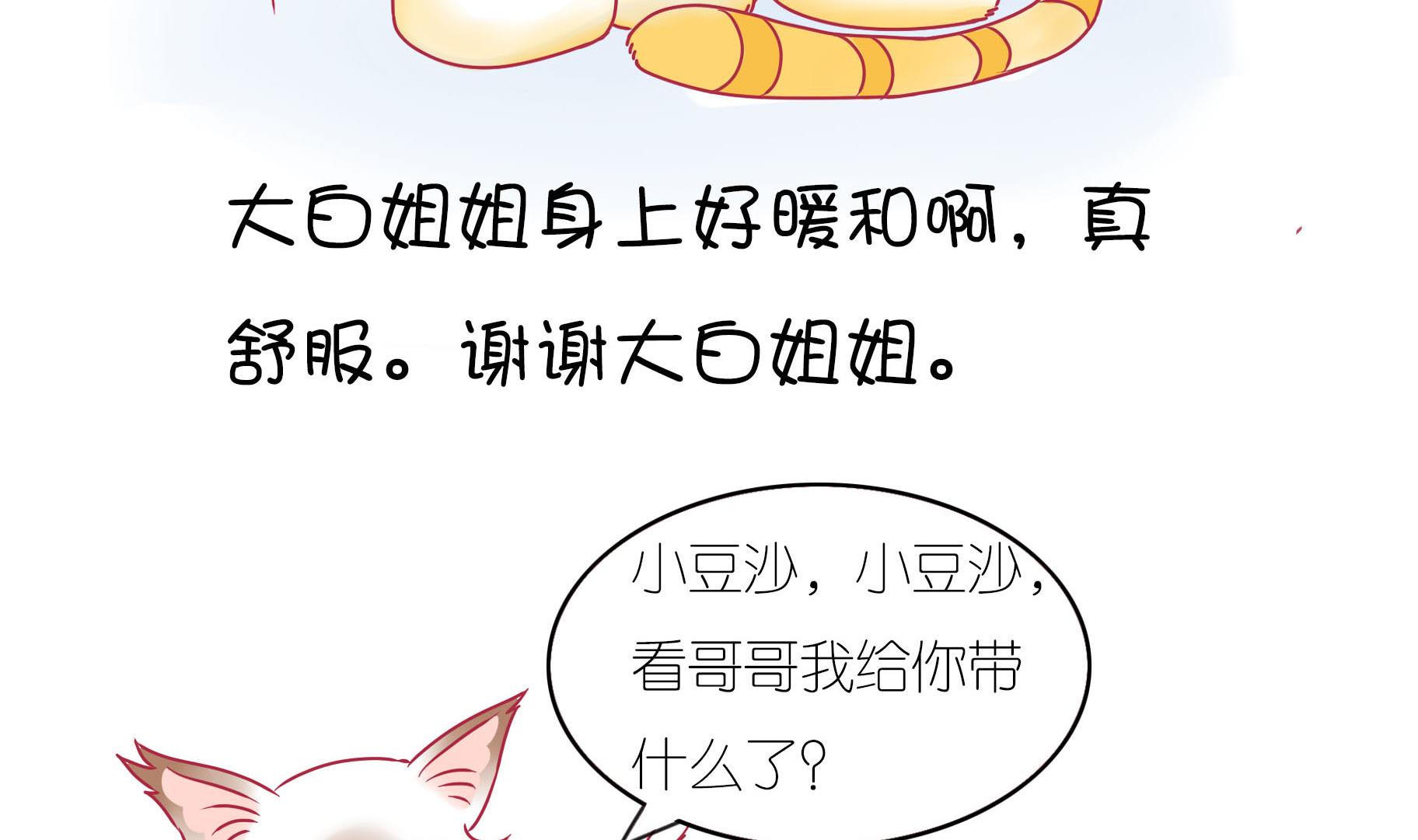 第17话 新伙伴豆沙 2-第17话