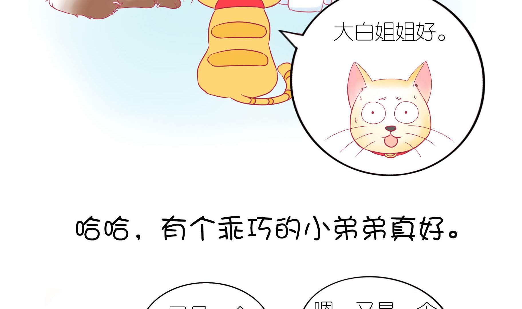 第17话 新伙伴豆沙 2-第17话
