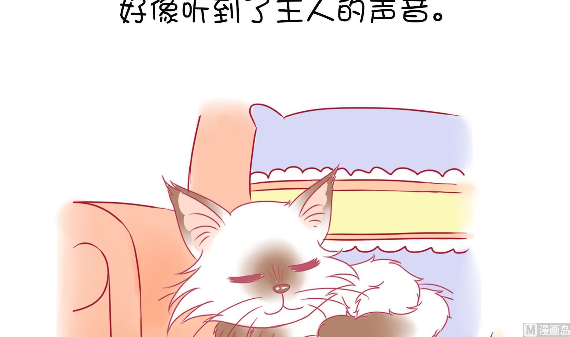第19话 睡前故事 2-第19话