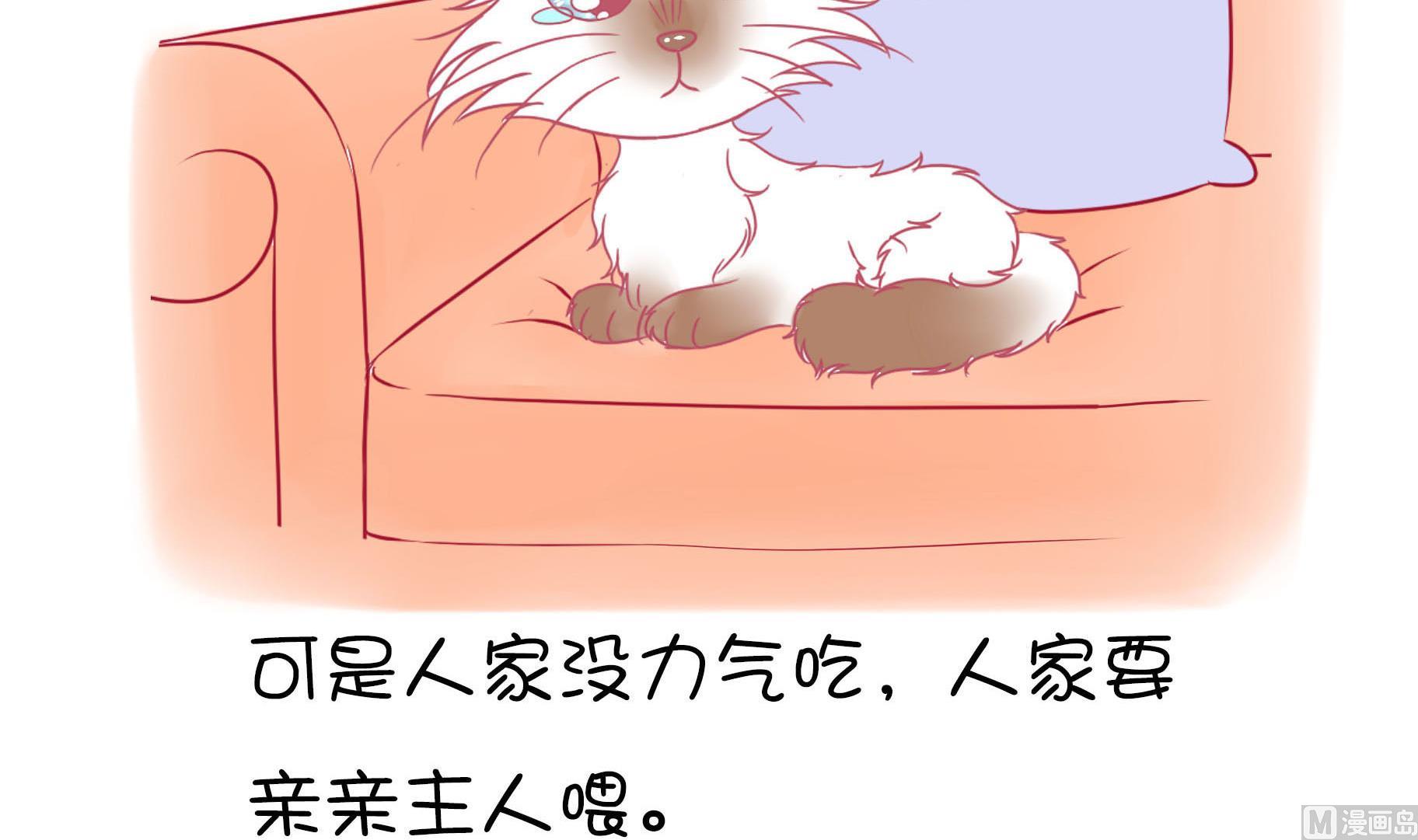 第19话 睡前故事 2-第19话