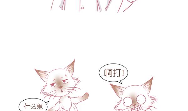第3话 生病的嗨弟 3-第3话
