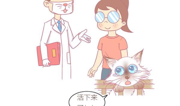 第3话 生病的嗨弟 3-第3话