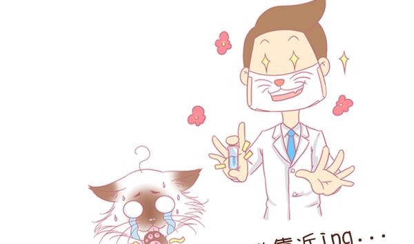 第3话 生病的嗨弟 3-第3话