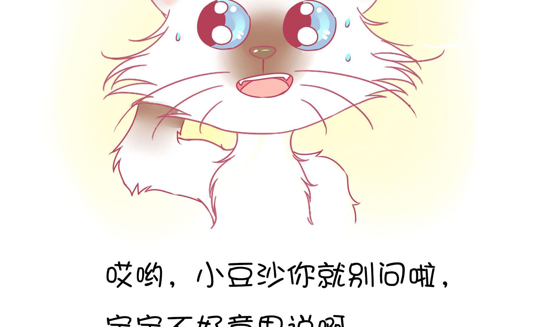 第21话 寿星喵精-第21话