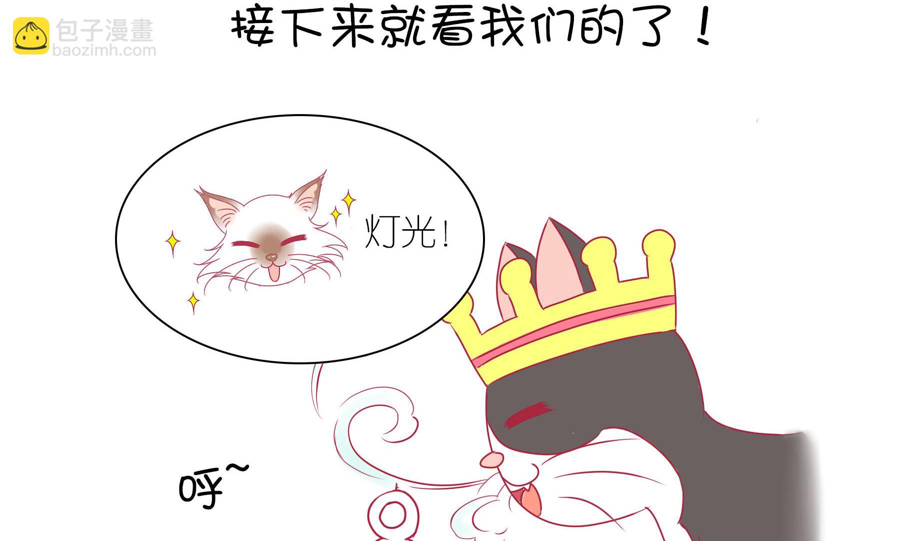 第21话 寿星喵精-第21话