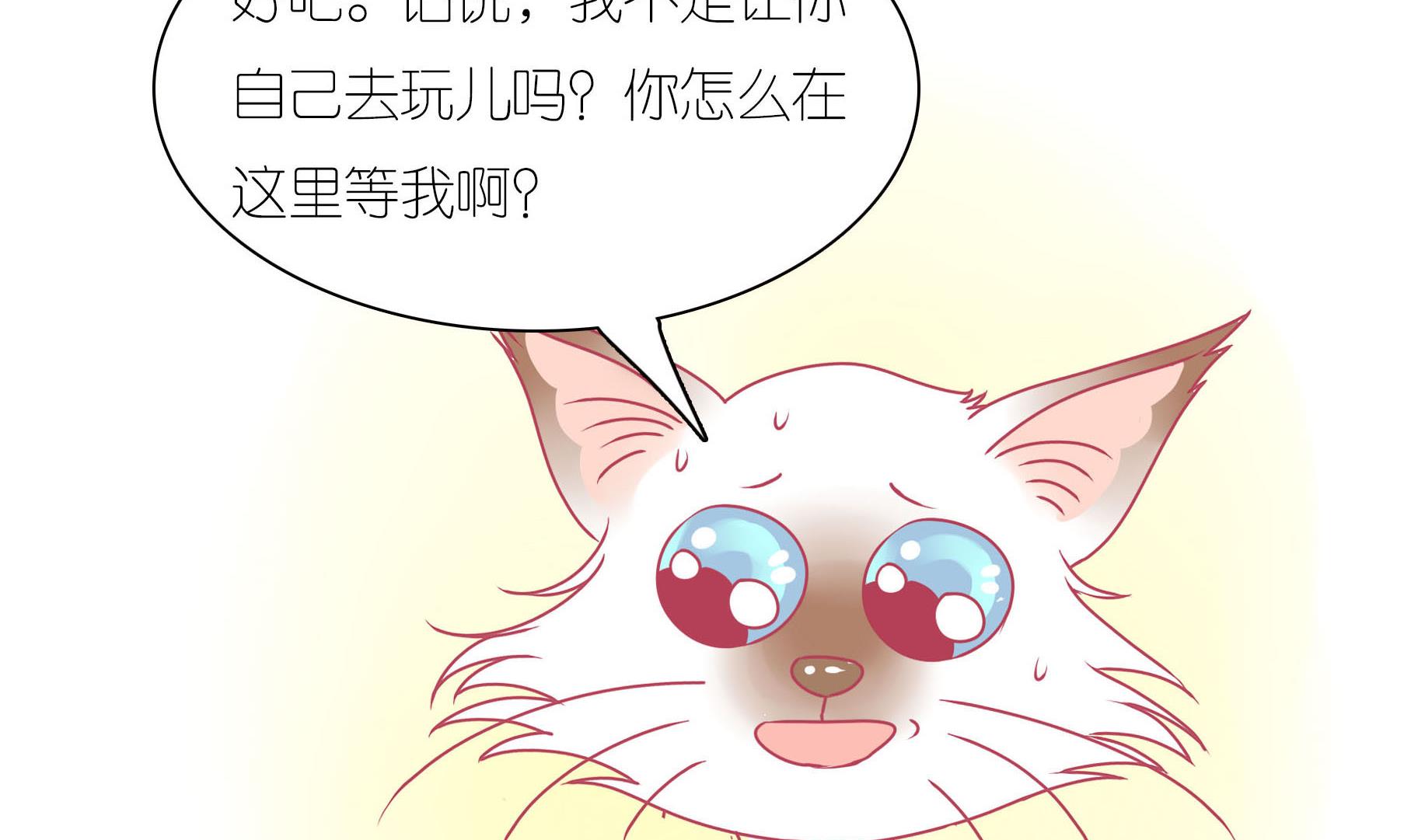 第21话 寿星喵精-第21话