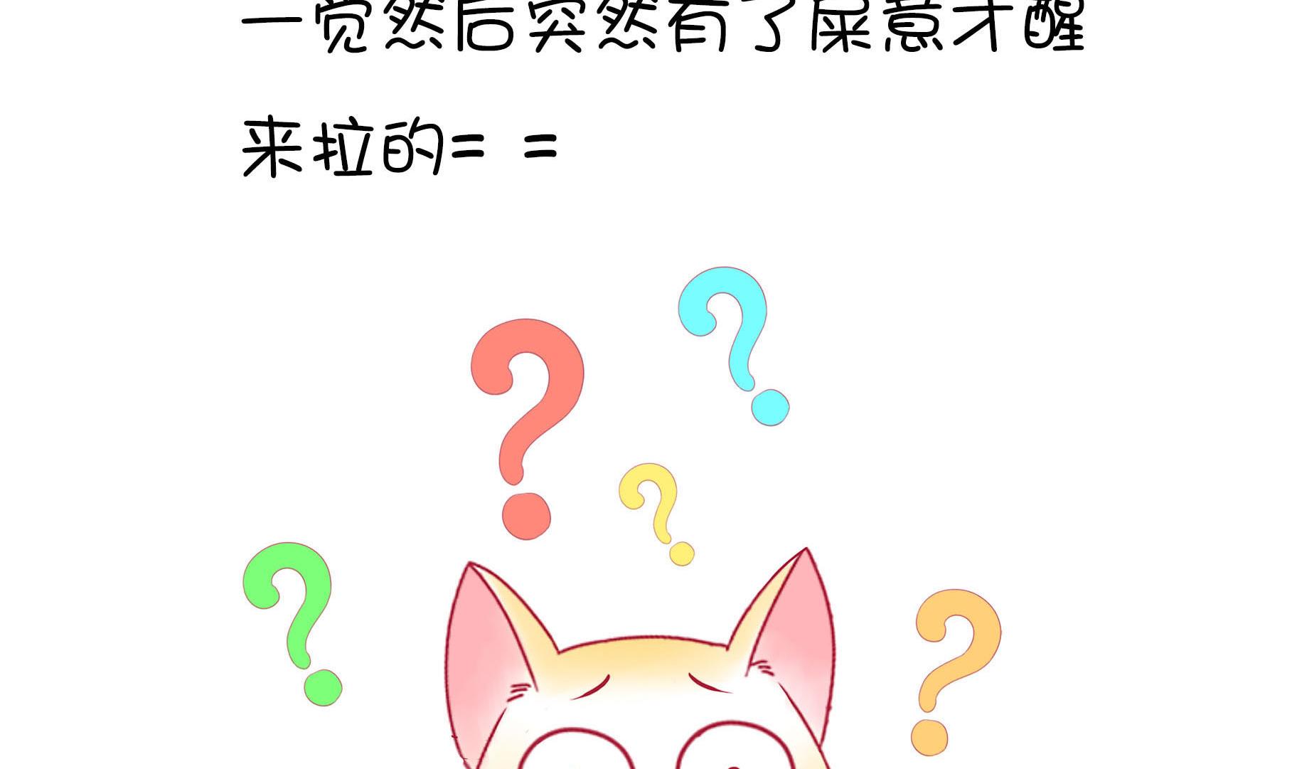 第21话 寿星喵精-第21话