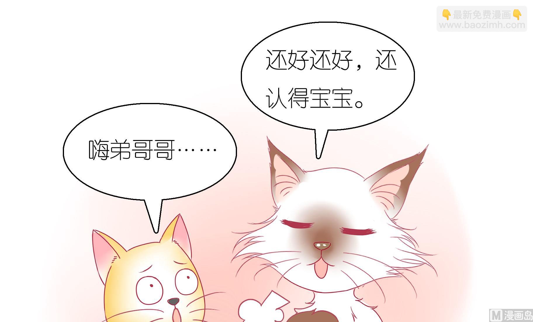 第23话 生气的豆沙-第23话