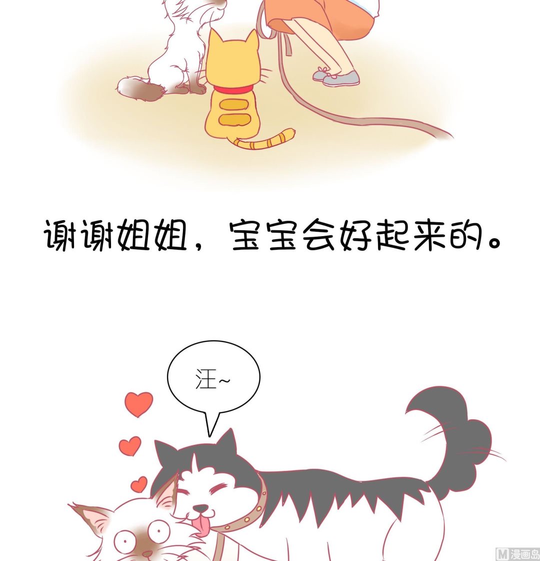 第31话 学好外语很重要 2-第31话