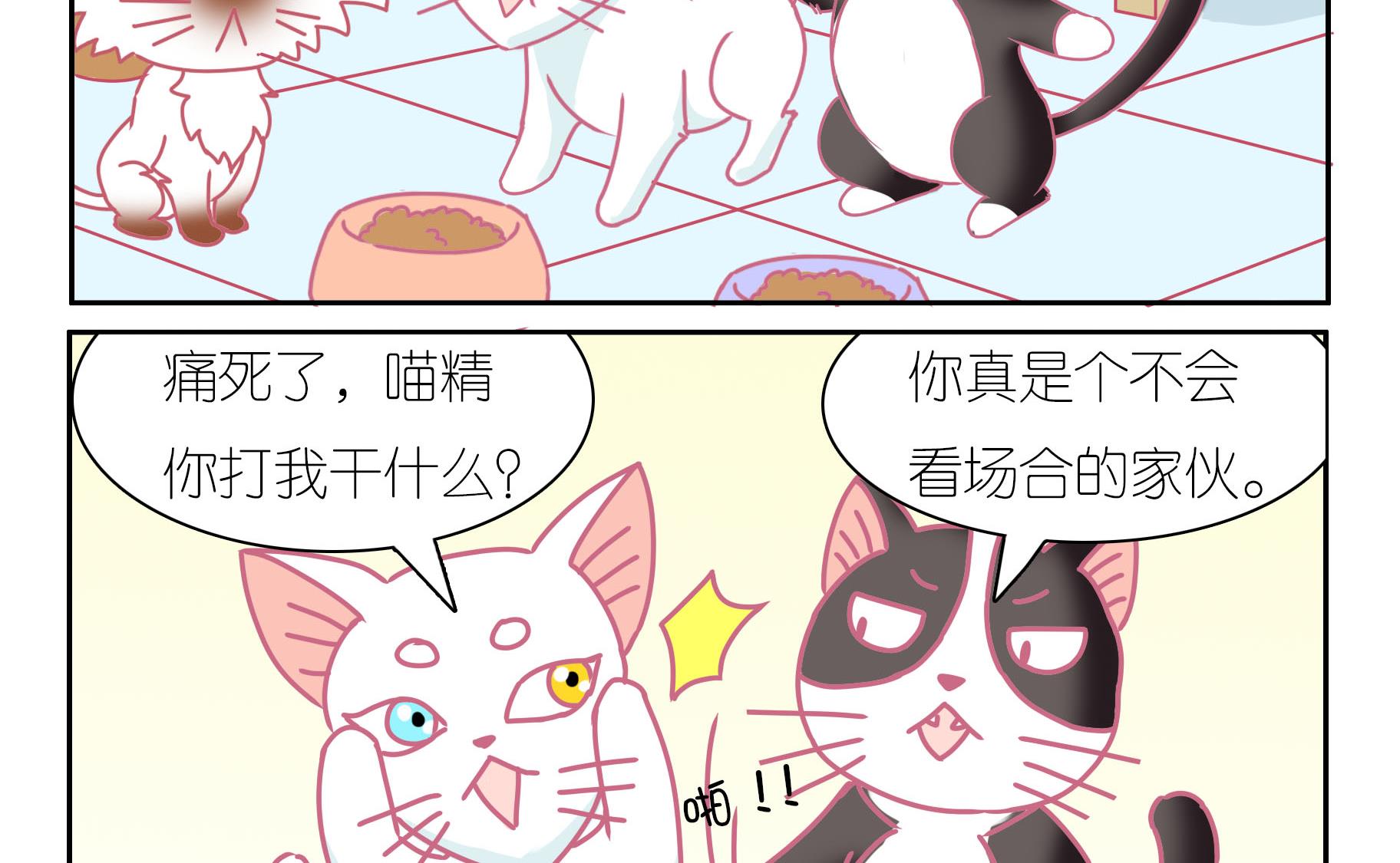第39话 告别豆沙 2-第39话
