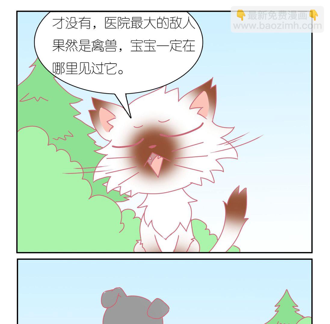 第41话 寻找伙伴 1-第41话