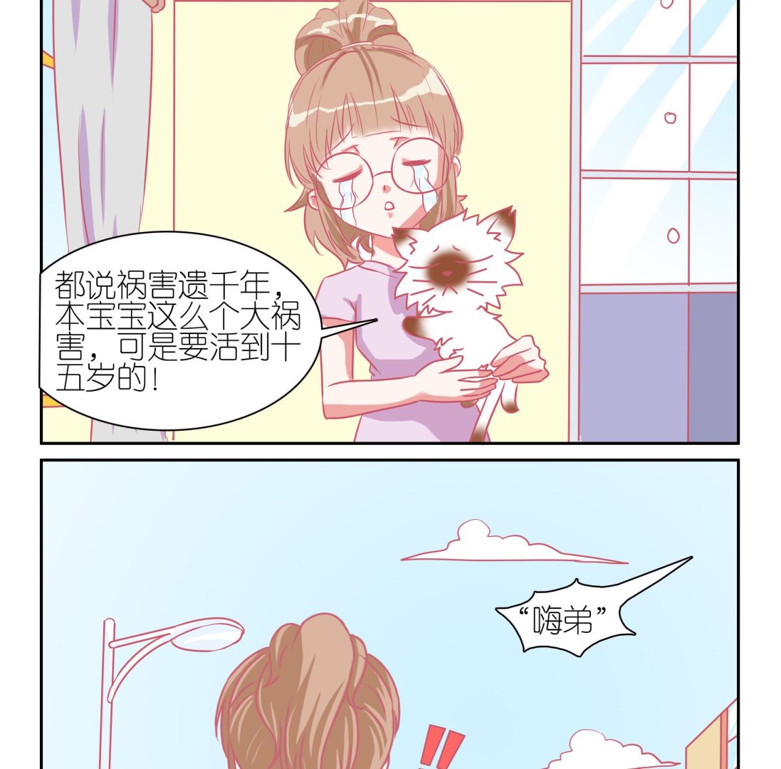 第45话 喵星天使 1-第45话