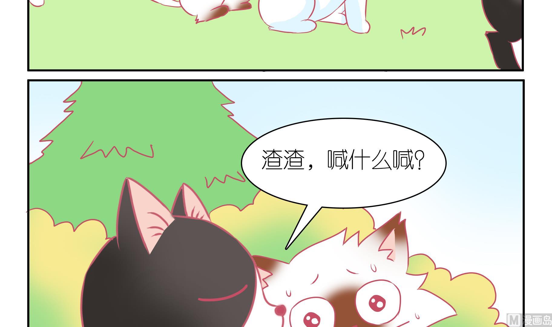第49话 助喵能手 2-第49话