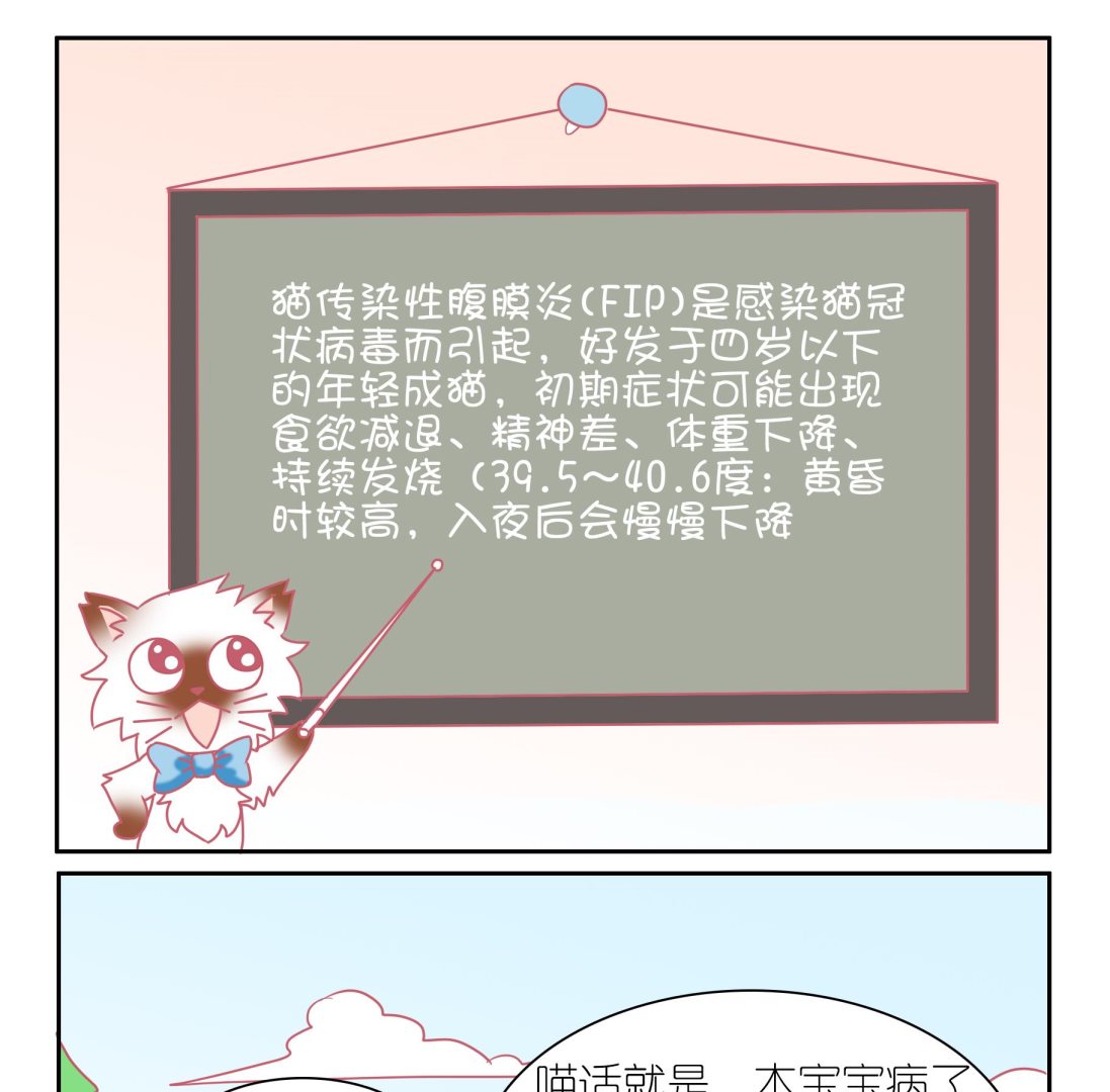 第51话 助喵能手 4-第51话