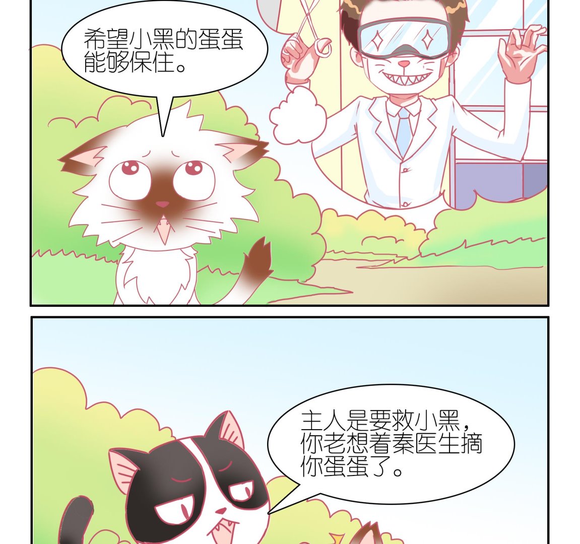 第53话 助喵能手 6-第53话