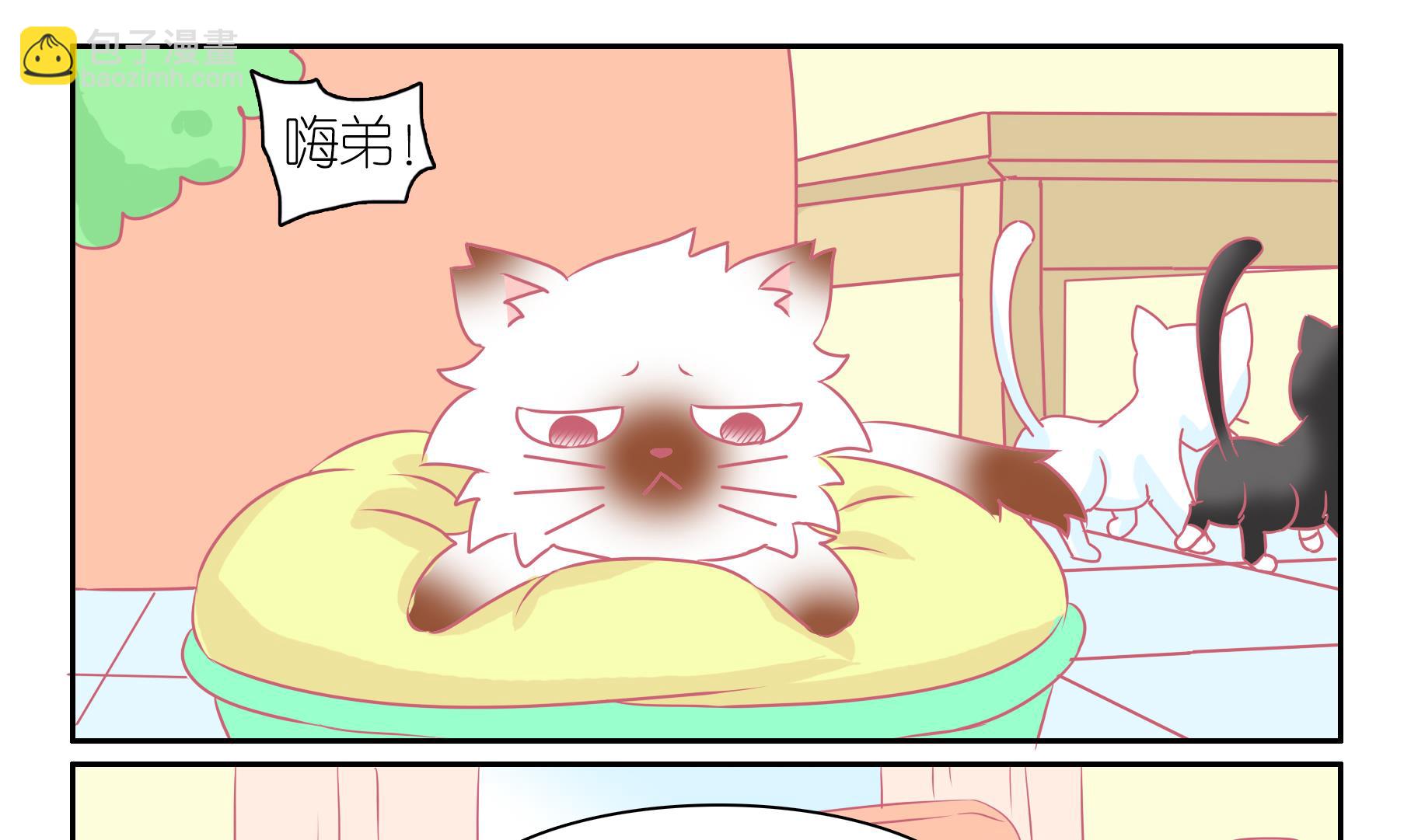 第55话 助喵能手 8-第55话