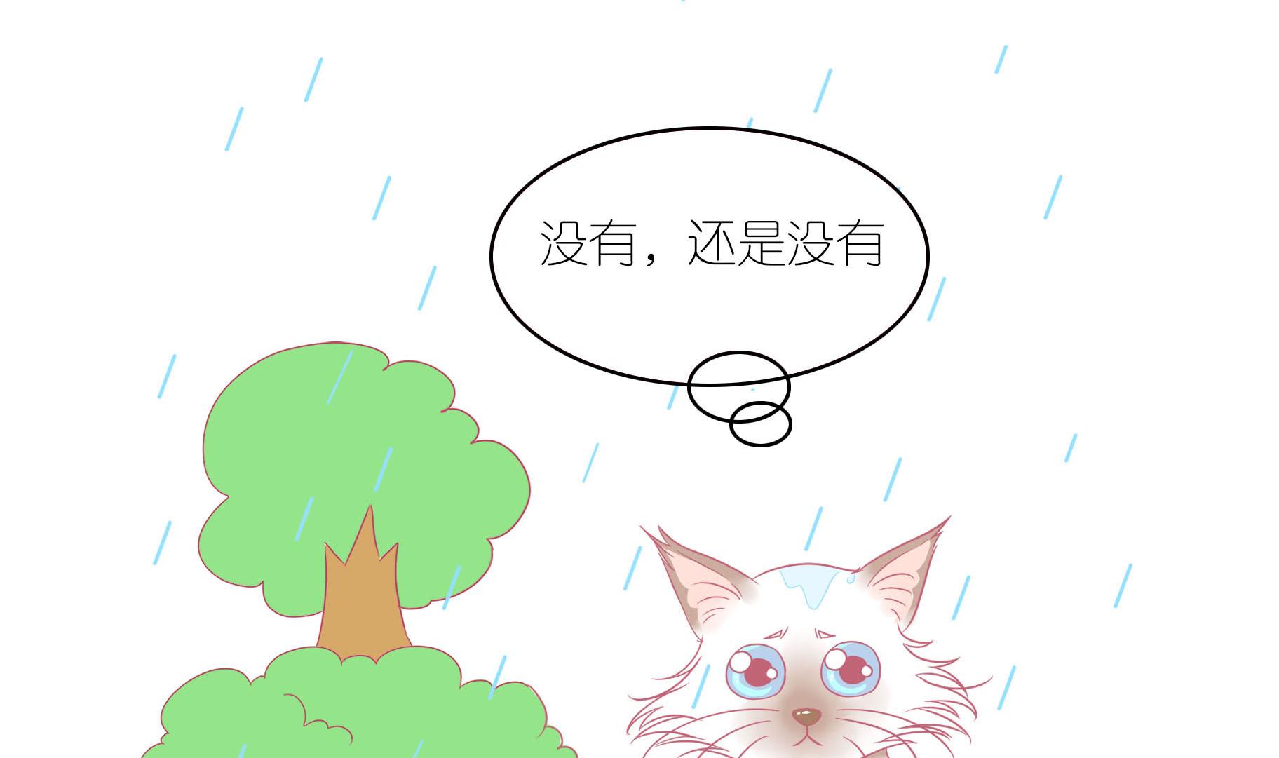 第9话 淘气的嗨弟 1-第9话
