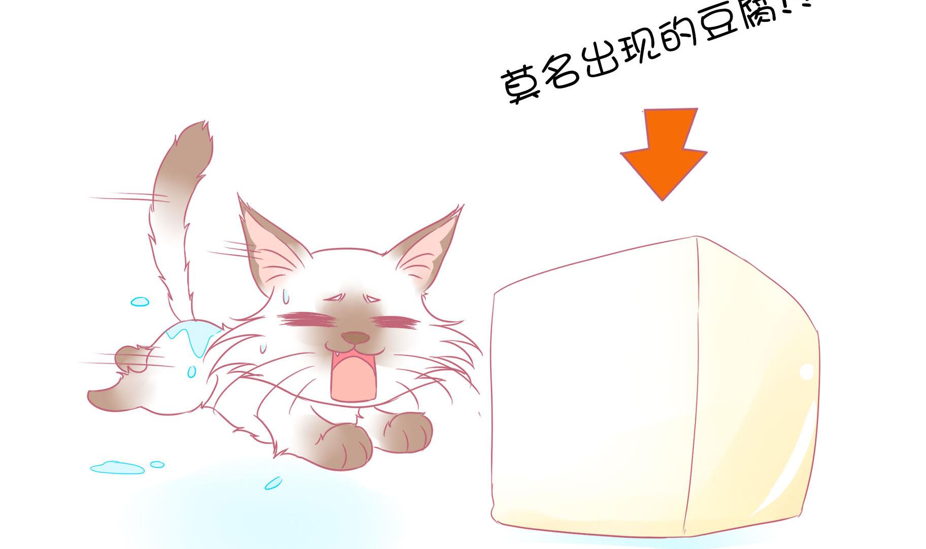 第9话 淘气的嗨弟 1-第9话